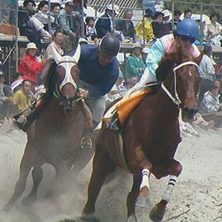 草競馬
